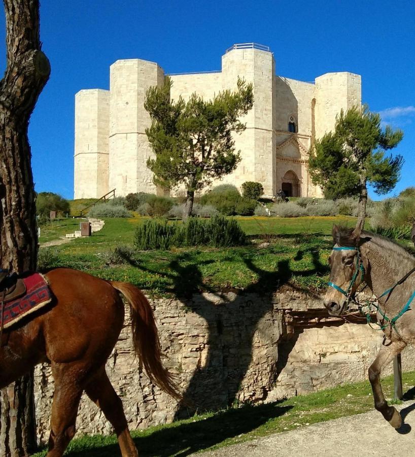 Casa Vacanza Dei Greci Barletta Exteriér fotografie
